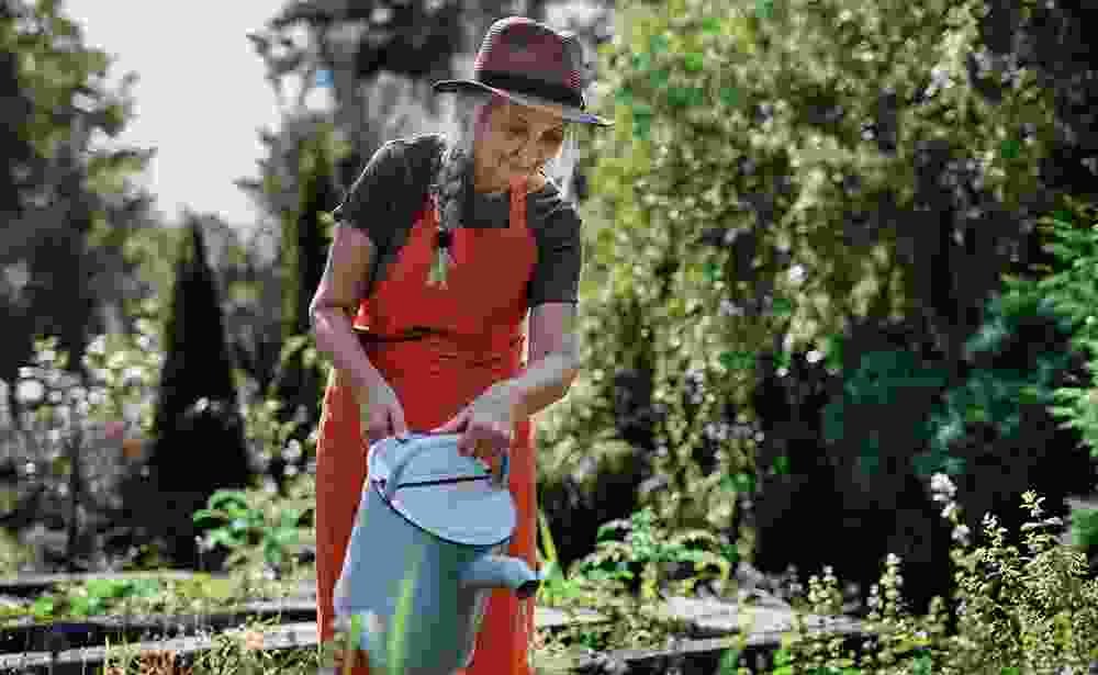 mushroomcart.in